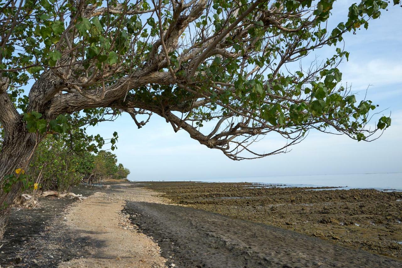 Villa Coral Pemuteran Exteriör bild